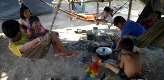 Los nukak, víctimas de la violencia en la Amazonía colombiana