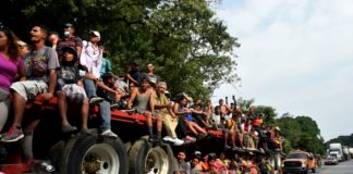 Migrantes narran en México el horror de los tráileres