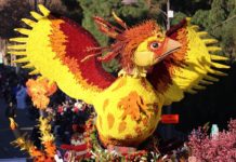 ¡Prepárese! El Desfile de las Rosas regresa para el Año Nuevo 2022 Prepárese El Desfile de las Rosas regresa para el Año Nuevo 2022