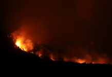 Varios incendios arrasan bosques nativos en sur argentino