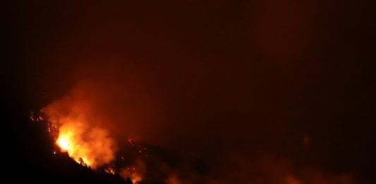 Varios incendios arrasan bosques nativos en sur argentino