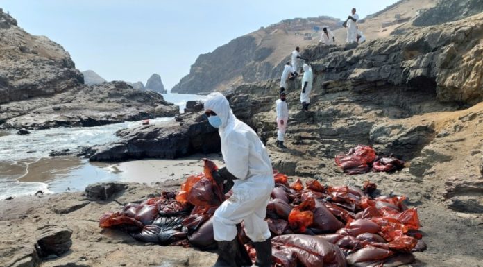 Derrame petrolero en Perú afecta fuente de trabajo de pescadores