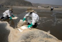 Experto califica de 'irreparable' daño en costas de Perú tras derrame