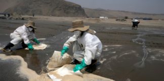 Experto califica de 'irreparable' daño en costas de Perú tras derrame