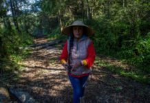 Ambientalistas en México viven con el miedo a cuestas