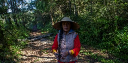 Ambientalistas en México viven con el miedo a cuestas
