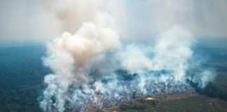 Bogota bajo 'alerta ambiental' por incendio en Amazonía