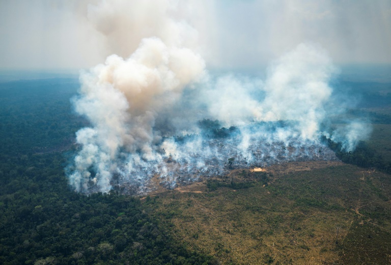 Bogota bajo 'alerta ambiental' por incendio en Amazonía