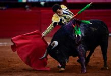 Ciudad de México podría abolir las corridas de toros
