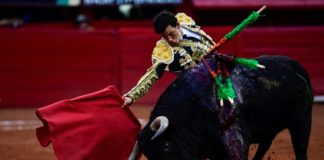 Ciudad de México podría abolir las corridas de toros