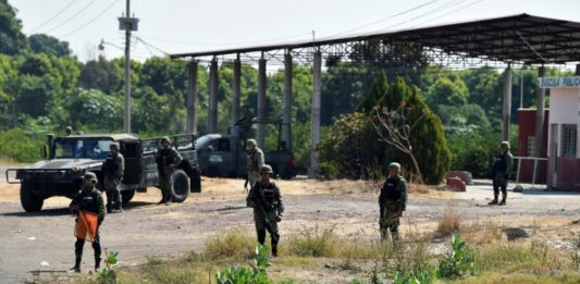 El aguacate mexicano, rehén del crimen organizado en Michoacán