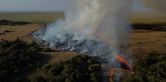 Incendios arrasan humedal argentino de Iberá