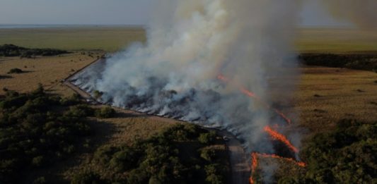 Incendios arrasan humedal argentino de Iberá