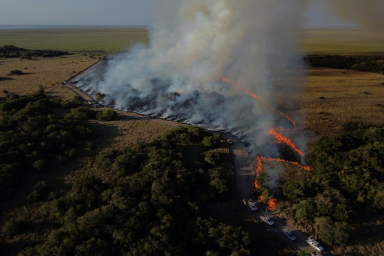 Incendios arrasan humedal argentino de Iberá