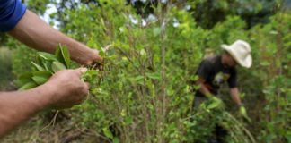 Indígenas colombianos amenazan con vetar venta de Coca-Cola