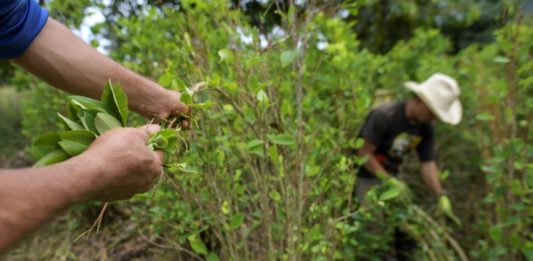 Indígenas colombianos amenazan con vetar venta de Coca-Cola