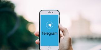 Jair Bolsonaro concentra su militancia digital en Telegram