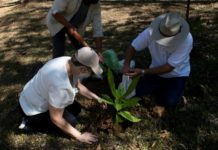 Siembran árboles en Costa Rica en honor a las víctimas del covid-19