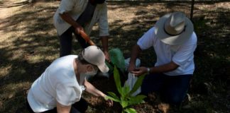 Siembran árboles en Costa Rica en honor a las víctimas del covid-19