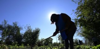 Comedores populares en Argentina resisten a la inflación