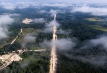 Suspenden construcción de un tramo del Tren Maya en México