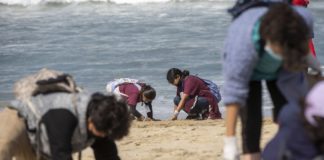 Alegría en la Naturaleza Niños limpian una playa en el Día Infantil del Océano