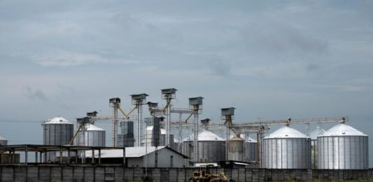 Crisis en Ucrania afecta la industria de fertilizantes en América Latina