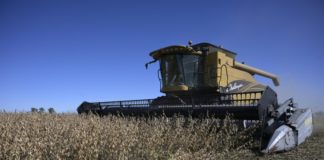 La soja argentina reluce empujada por la guerra en Ucrania