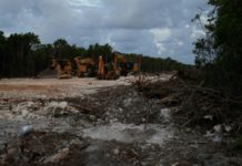 Suspenden indefinidamente construcción de un tramo del 'Tren Maya'