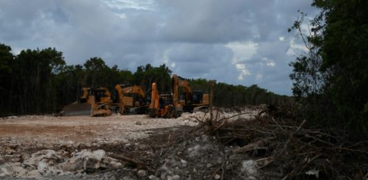 Suspenden indefinidamente construcción de un tramo del 'Tren Maya'