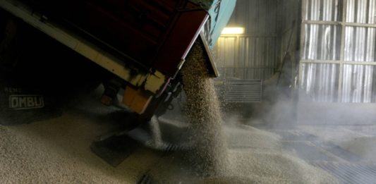 Cinco países latinoamericanos acuerdan producir más alimentos y fertilizantes