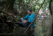 Catalogan la biodiversidad de la Amazonia en medio de su devastación