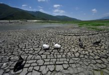 Construirán acueducto para paliar escasez de agua en Monterrey