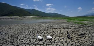 Construirán acueducto para paliar escasez de agua en Monterrey