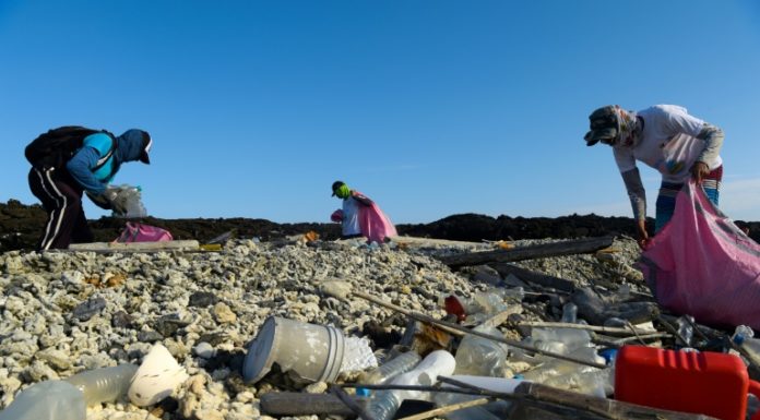Gran parte de la basura recogida en Galápagos proviene de otros países