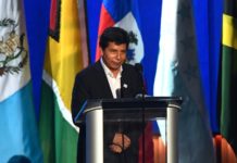Pedro Castillo un año en la presidencia de Perú cercado por la justicia