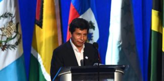 Pedro Castillo un año en la presidencia de Perú cercado por la justicia