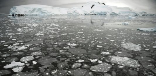 Banquisa que cubre las aguas antárticas se redujo en julio