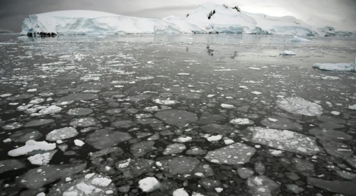 Banquisa que cubre las aguas antárticas se redujo en julio
