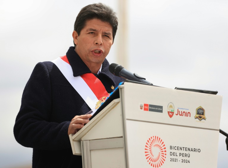 El presidente de Perú, Pedro Castillo, en un acto público, el 6 de agosto de 2022. © ANDINA/AFP Jhonel RODRIGUEZ