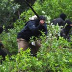 Honduras despliega militares para evitar la producción de coca