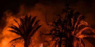 Incendios en la Amazonía brasileña registra récord en casi 15 años