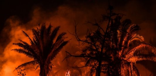 Incendios en la Amazonía brasileña registra récord en casi 15 años