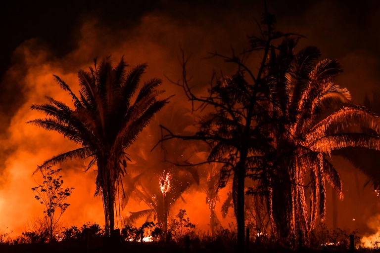 Incendios en la Amazonía brasileña registra récord en casi 15 años