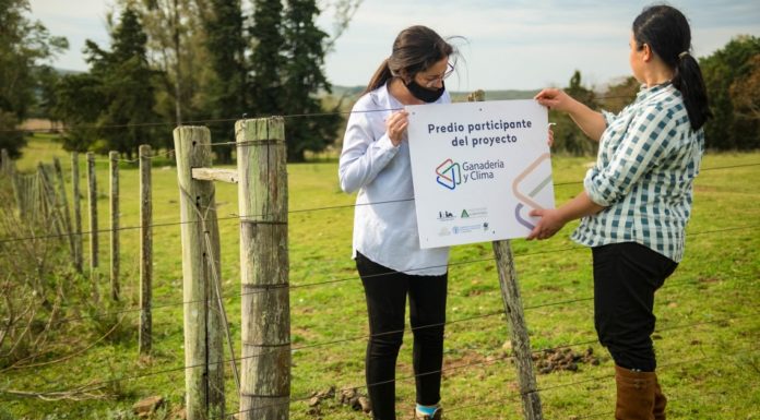 Proyecto ganadero contribuye contra el cambio climático en Uruguay