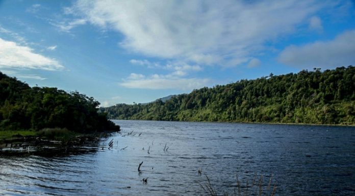 Santuario protegerá un humedal en el Archipiélago de Chiloé en Chile