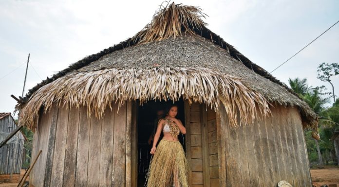 The Territory, un documental sobre la tribu uru-eu-wau-wau en Brasil