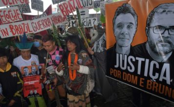 América Latina concentra la mayoría de asesinatos de ambientalistas