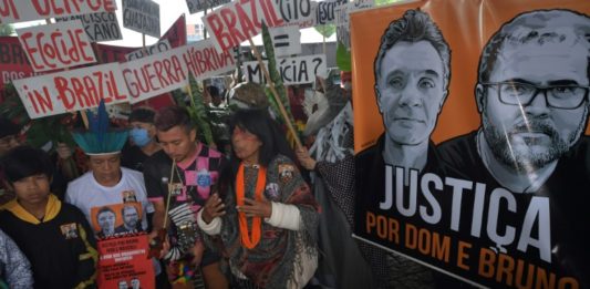 América Latina concentra la mayoría de asesinatos de ambientalistas