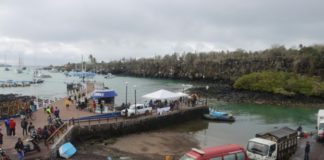 Cuatro personas fallecidas tras naufragio en Galápagos